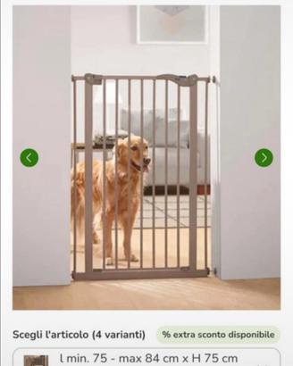 Cancelletto di sicurezza