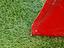 Immagine 11