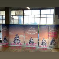 Allestimenti vetrine Natale