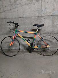 bicicletta