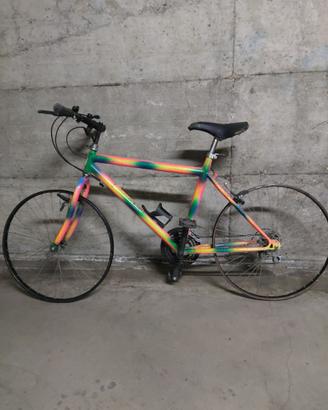 bicicletta
