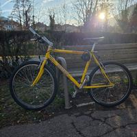 Bicicletta MTB euro 60