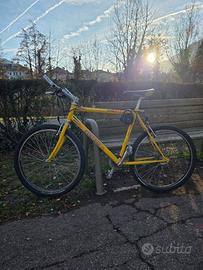 Bicicletta MTB euro 60