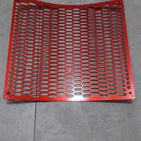 Griglia Radiatore Triumph Speed Triple 1200 RS-RR