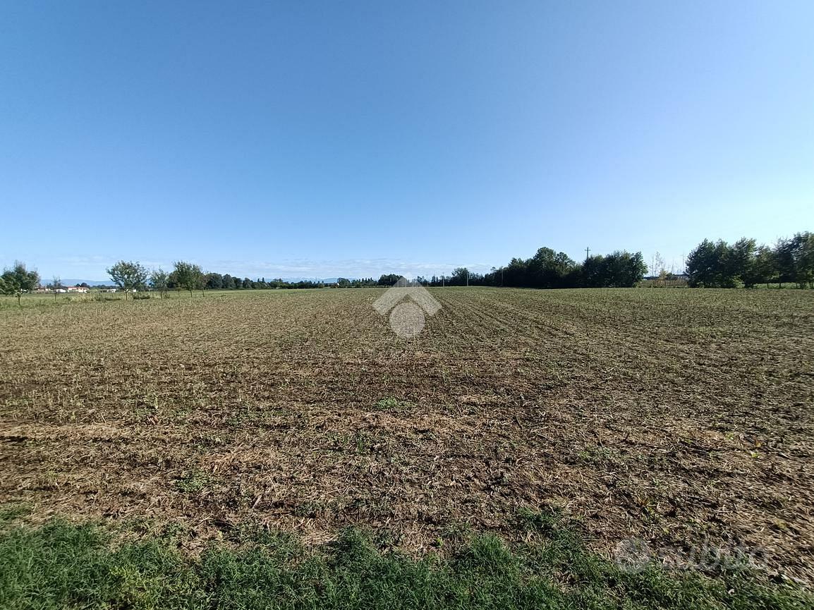 TER. AGRICOLO A PIANIGA - Vista 2