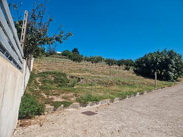 Terreno agricolo panoramico-753 mq- bacoli