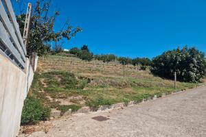 Terreno agricolo panoramico-753 mq- bacoli