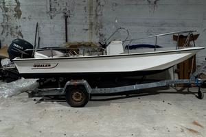 Boston whaler 17