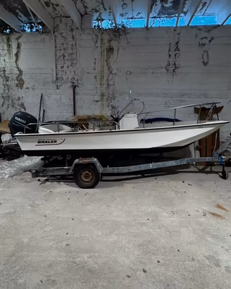 Boston whaler 17