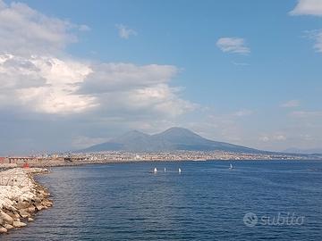 Baby sitter,pulizie ,ristorazion,dog sitter(Centr)