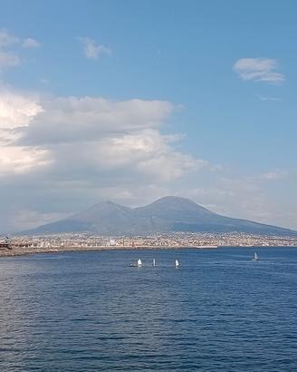 Baby sitter,pulizie ,ristorazion,dog sitter(Centr)