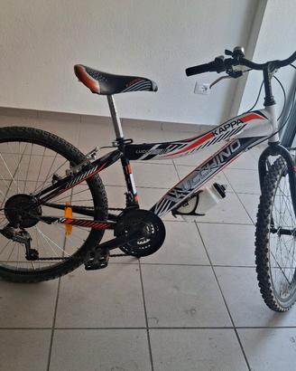 bicicletta bambino