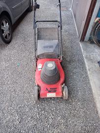 Tagliaerba Elettrico Raser - Robusto e Funzionante