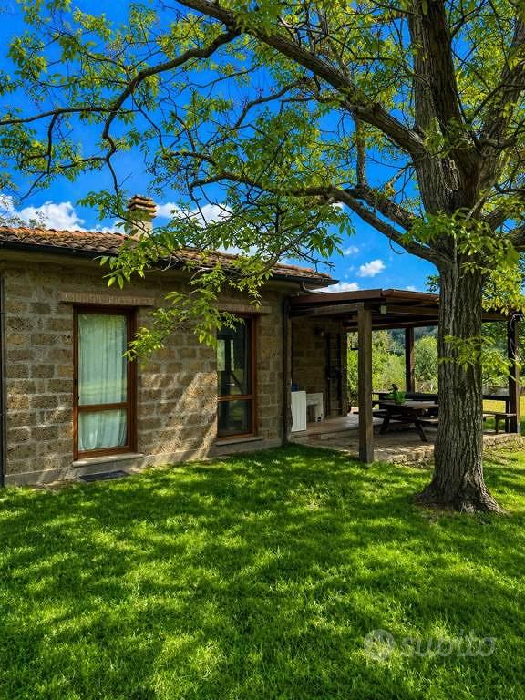 Rustico / Casale di 40 m² con 1 locale a Tuscania - Vista 4