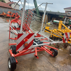 Giroandanatore maschio