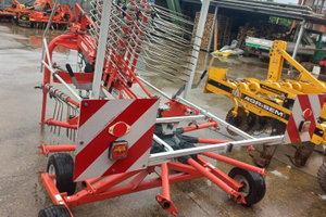 Giroandanatore maschio