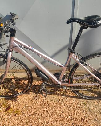 bicicletta Tecnobike