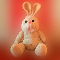 Coniglio coniglietto pupazzo peluche