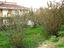 Immagine 13