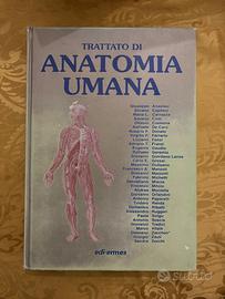 Trattato di Anatomia Umana