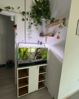 acquario totalmente in vetro 160 litri