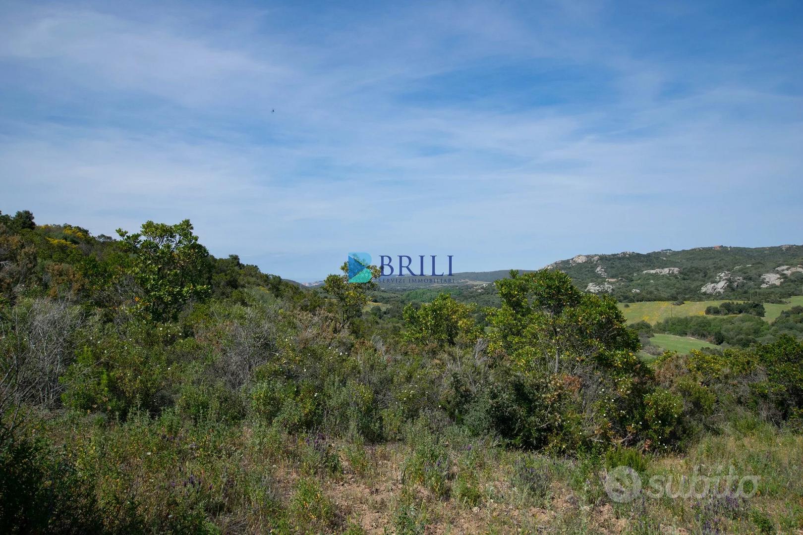 Terreno agricolo a soli 7 km da Palau - Vista 3