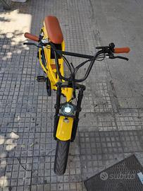 biciclette  elettriche foto allegate 