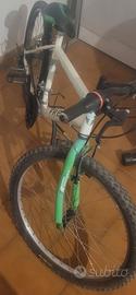 Mountain bike Frejus 24"