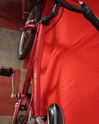 bicicletta