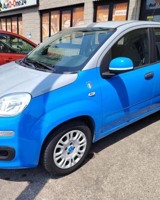 FIAT Panda 1.2 Pandazzurri UNICA-PREZZO REALE-FI