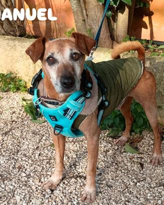 Manuel sei anni tg piccola