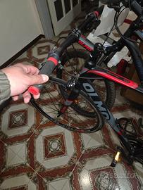 Bici olmo