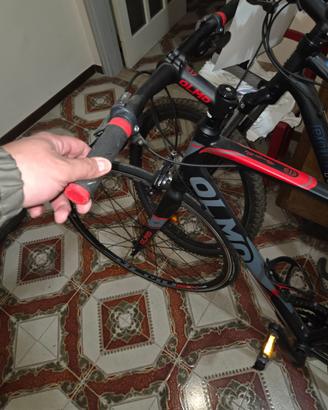 Bici olmo