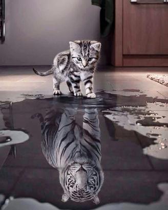 Puzzle 1000 pezzi "Gatto con la tigre nel cuore"