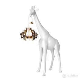 guaraffa in love m interno 