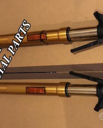 Ducati diavel hypermotard scramble forcelle ohlins