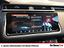 Immagine 13