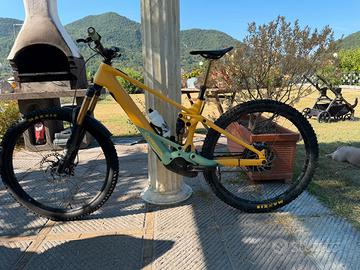 Orbea Wild