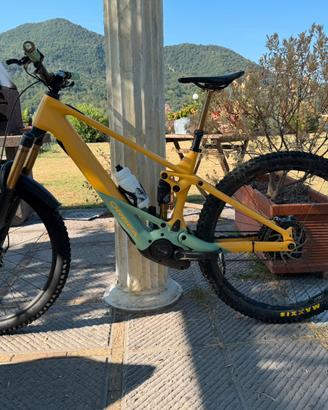 Orbea Wild