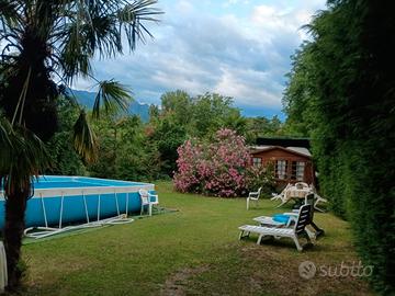 piscina laghetto