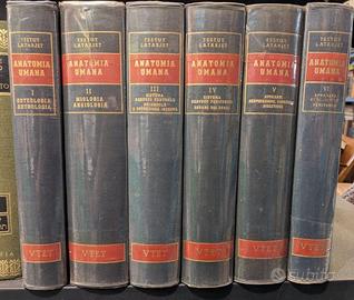 6 volumi di anatomia umana