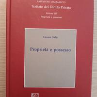 "Proprietà e possesso", Cesare Salvi - "Trattato d