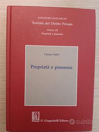 "Proprietà e possesso", Cesare Salvi - "Trattato d