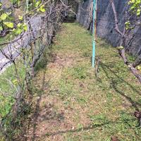 Terreno e fabbricato