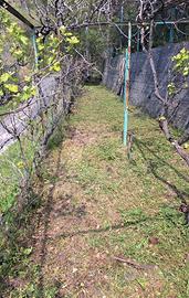 Terreno e fabbricato