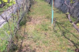 Terreno e fabbricato