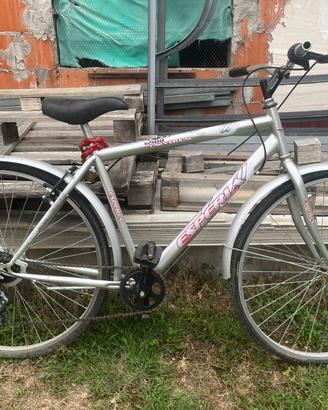 Esperia Universal 6900 – bici 26