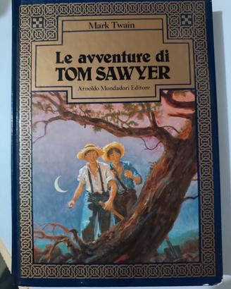 Le Avventure di Tom Sawyer 