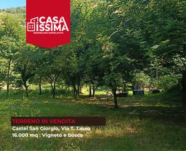 Castel San Giorgio, terreno 16.000 mq