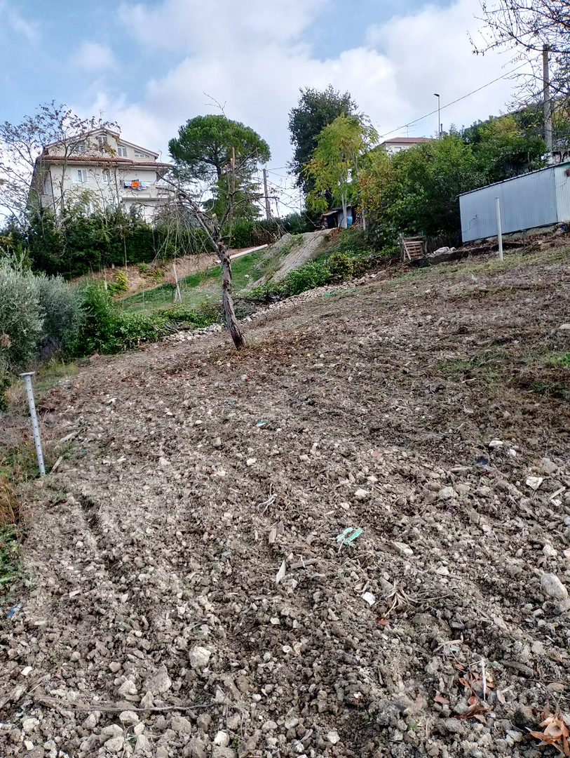 Terreno Agricolo - Vista 4